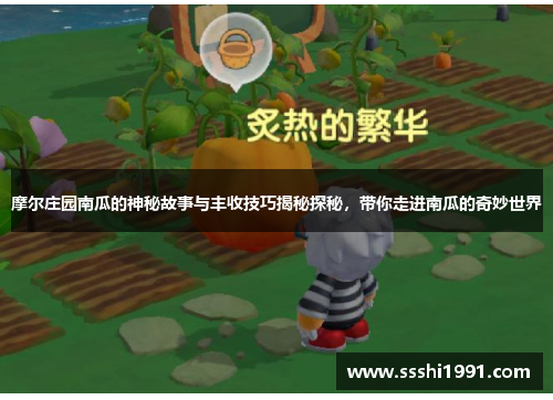 摩尔庄园南瓜的神秘故事与丰收技巧揭秘探秘，带你走进南瓜的奇妙世界